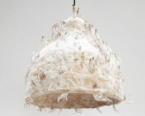 jonas edvard nielsen grows MYX lamps from mushroom-mycelium