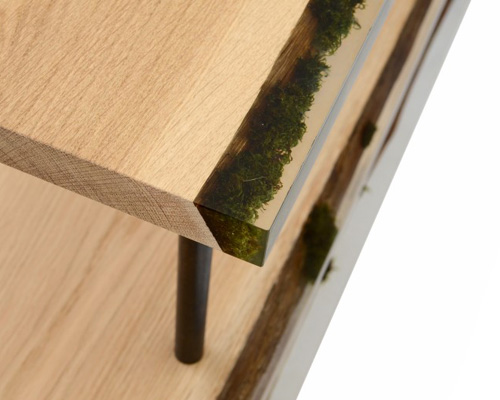alcarol explores the potential for moss and lichens to create furniture