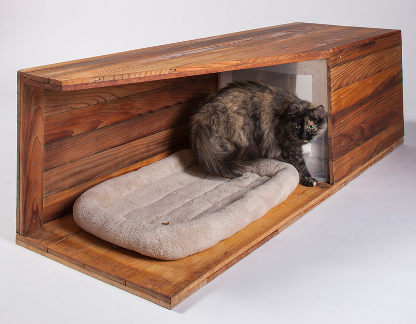 Architects Create Cat Shelters For Feline Focused Event In Los Angeles