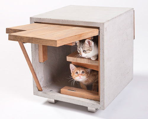 architects create cat shelters for feline-focused event in los angeles