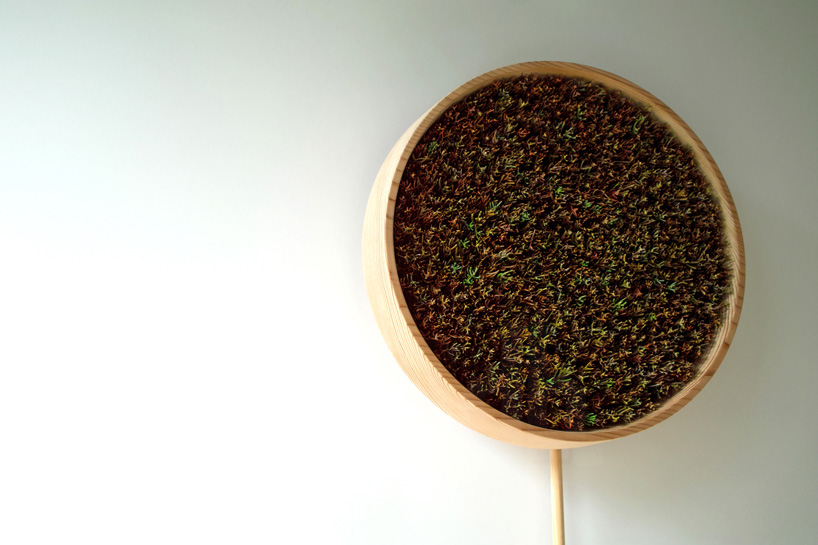 bril coniferous clock sugidama sake brewery japan