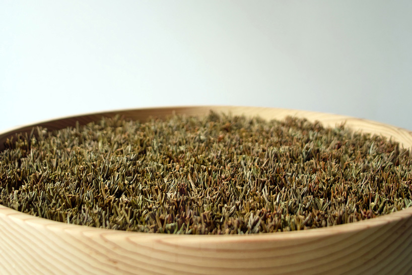 bril coniferous clock sugidama sake brewery japan