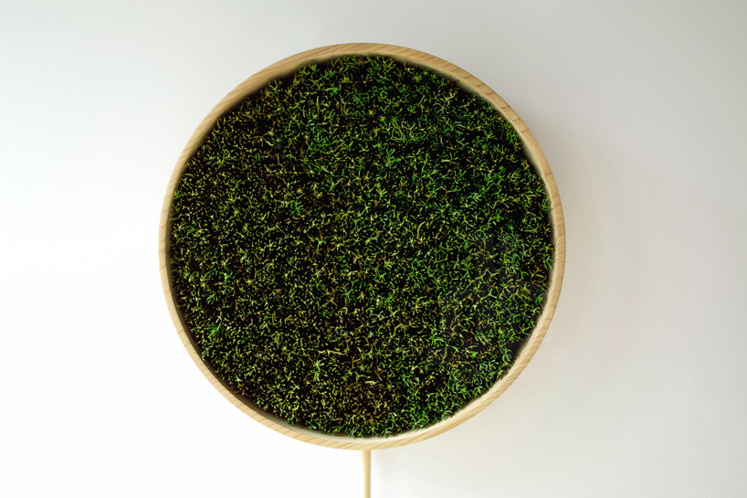 bril coniferous clock sugidama sake brewery japan