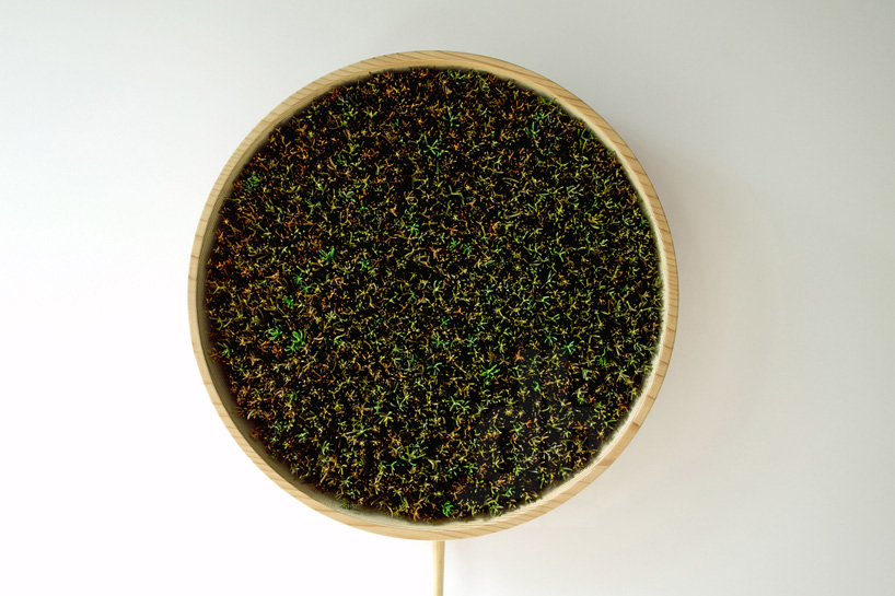 bril coniferous clock sugidama sake brewery japan