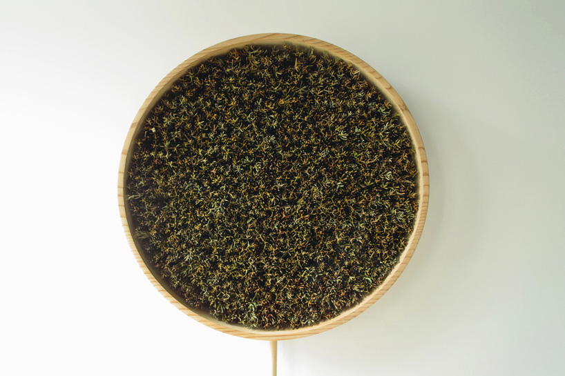 bril coniferous clock sugidama sake brewery japan