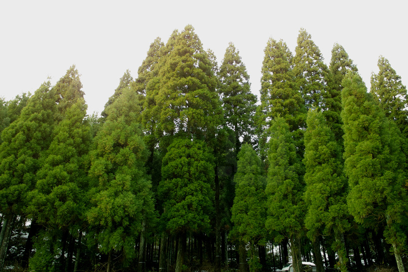bril coniferous clock sugidama sake brewery japan