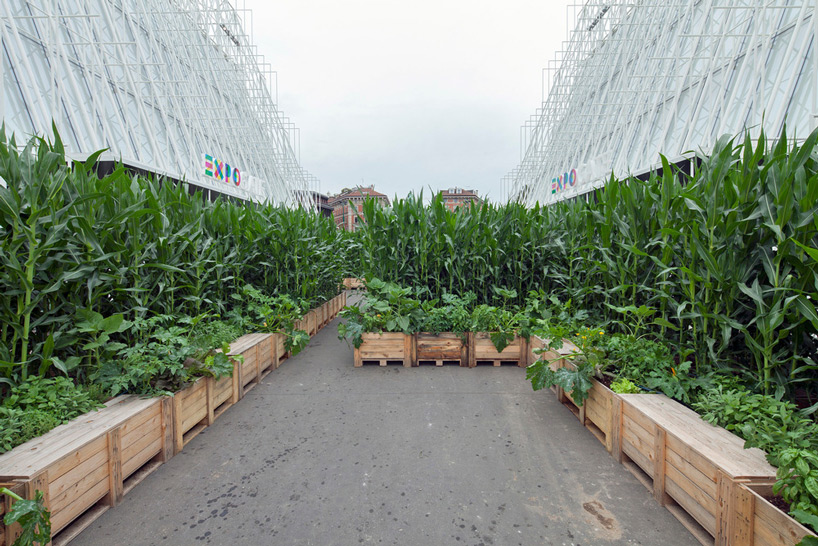 expo gate milan 2015 designboom