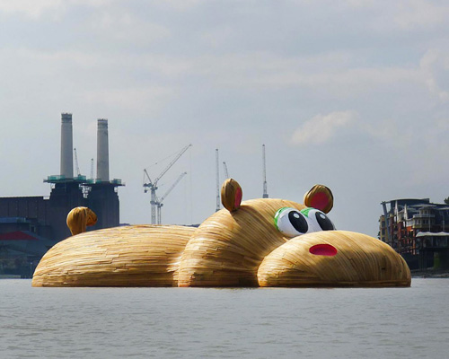 florentijn hofman floats huge hippopotamus down the river thames