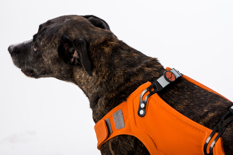 Best dog harness shop for hip dysplasia