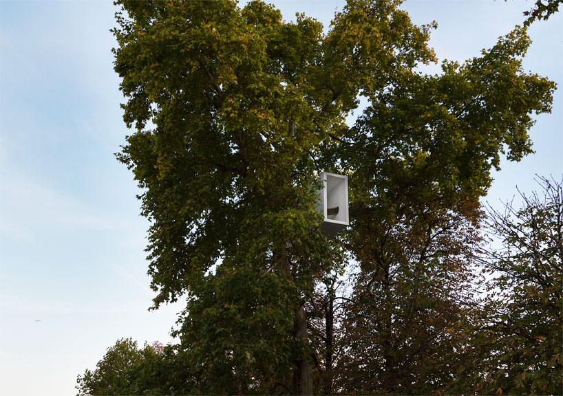 L/B build beautiful Tube #3 tree habitat for FIAC!