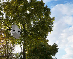 lang/baumann perch wooden tunnel within parisian treetops