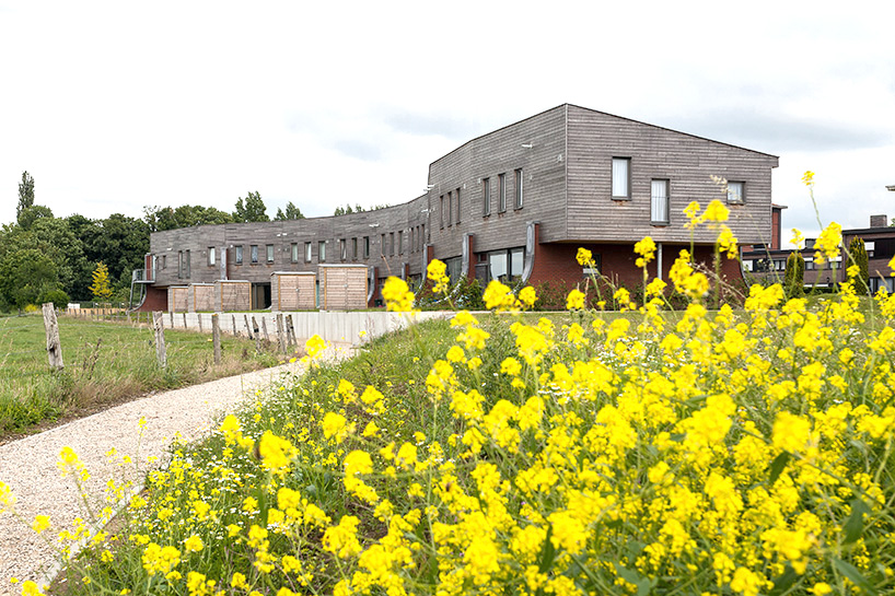demeestere+garmyn & partners redesigns belgian residential district