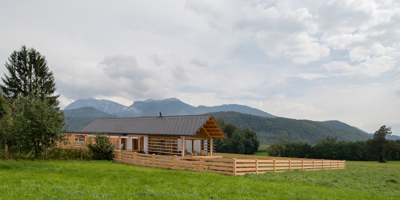 biro gasperic a house for the best years slovenia