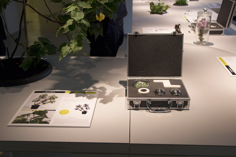 designing life bio 50 PSX consultancy plant sex toys designboom