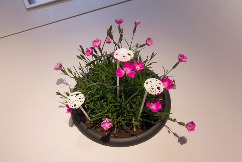 designing life bio 50 PSX consultancy plant sex toys designboom