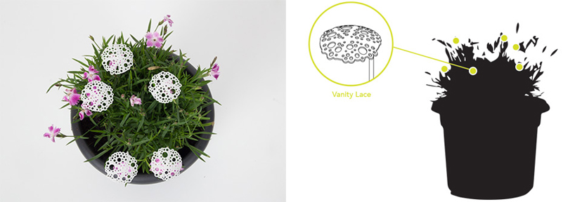 designing life bio 50 PSX consultancy plant sex toys designboom