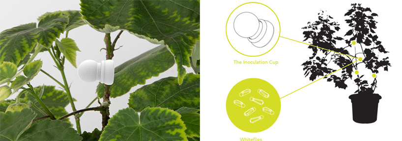 designing-life-bio-50-PSX-consultancy-plant-sex-toys-designboom-12