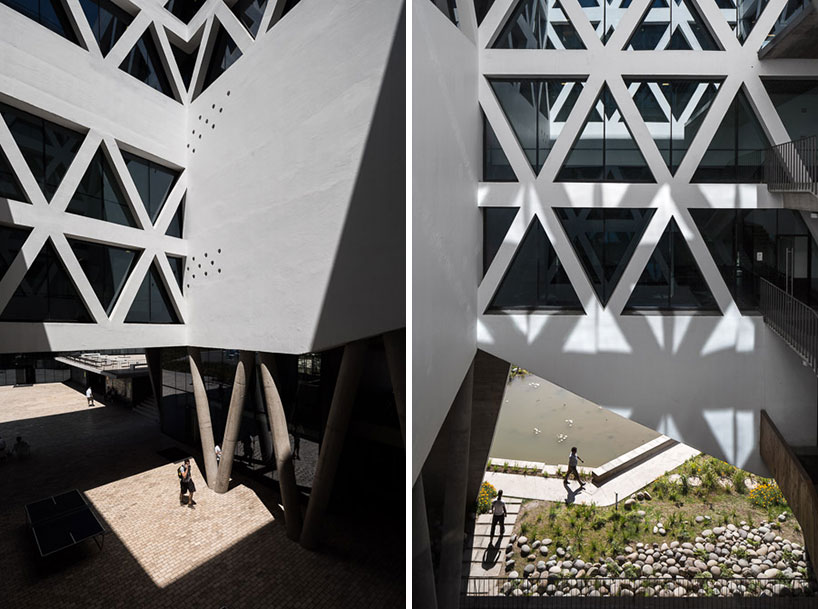 duquemotta_UDP_db_12