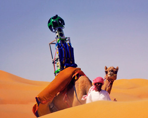 google hires camel to film liwa desert 'street' view