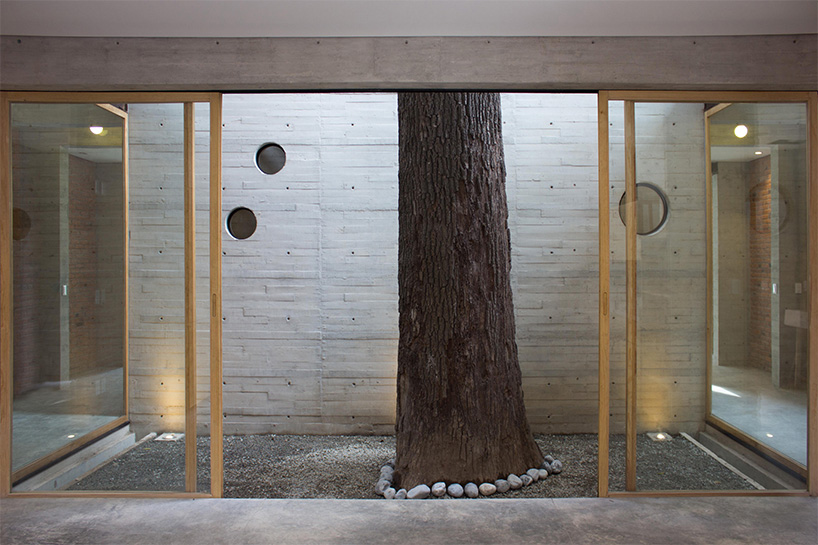 ludens' santa catarina house wraps trees with volcanic stone façade
