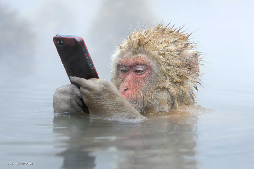 natural history museum announces wildlife photographer of the year 2014