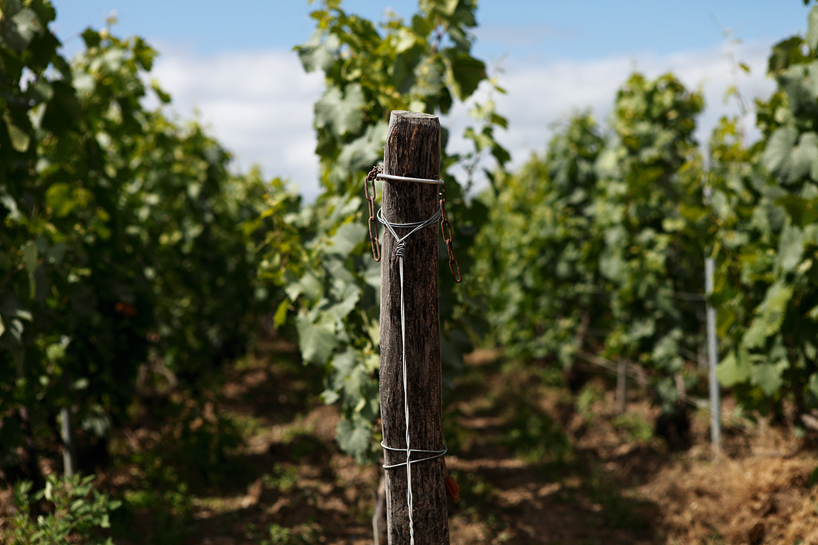 philippe starck louis roederer brut nature designboom 