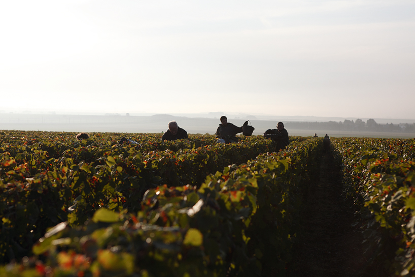 philippe starck louis roederer brut nature designboom 