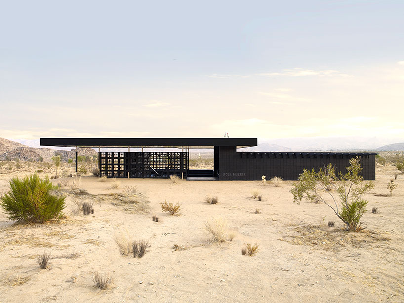 robertstone_rosamuerta_db_04