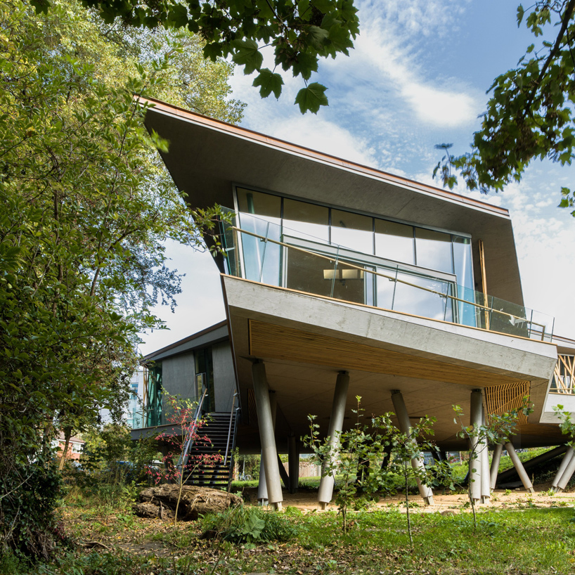 wilkinson eyre envisions maggie's centre as an elevated treehouse