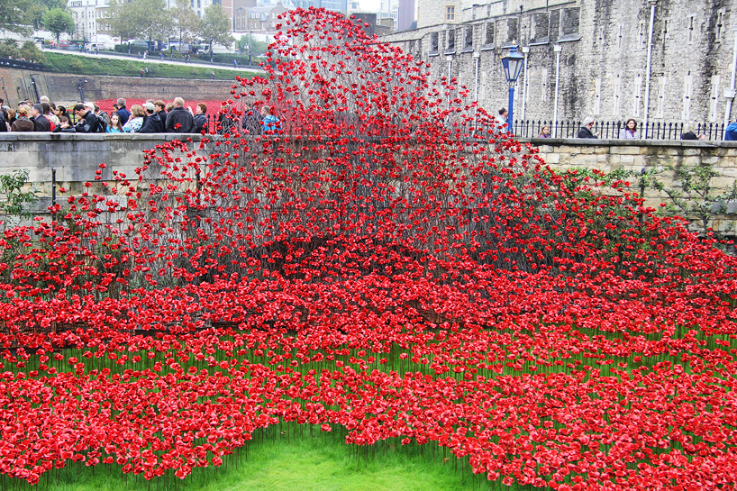 tower of london poppies birds eye view