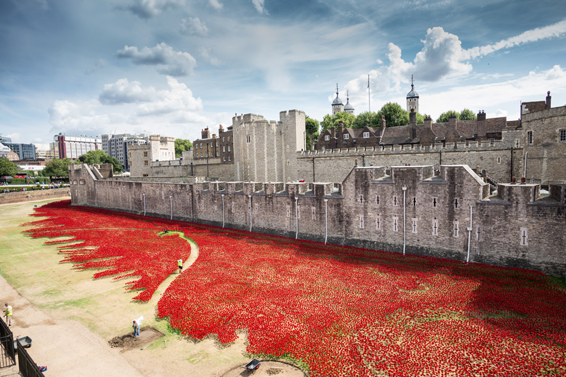 888,246 ceramic poppies infill the tower of london for remembrance day