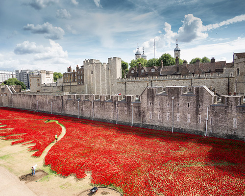 888,246 ceramic poppies infill the tower of london for remembrance day