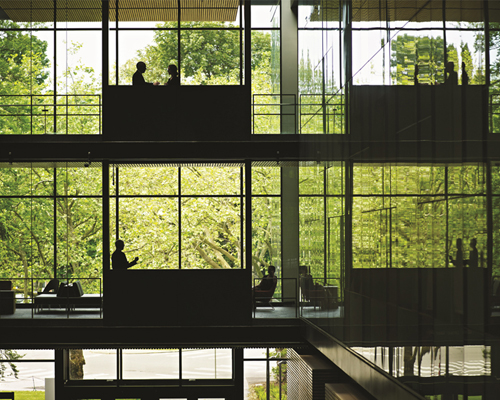 are nature-starved offices affecting employee well-being?