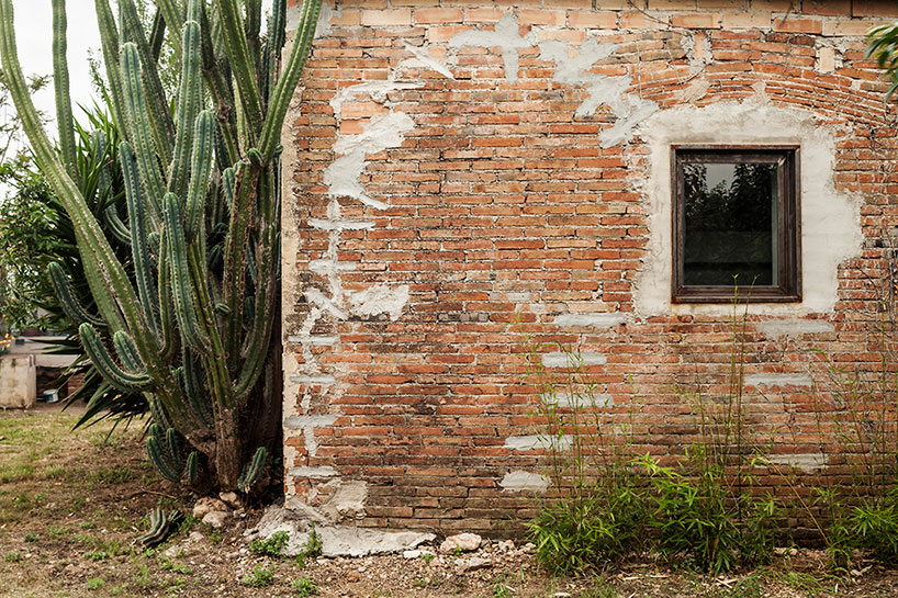 clara nubiola converts a deteriorating shed into the cube changing room
