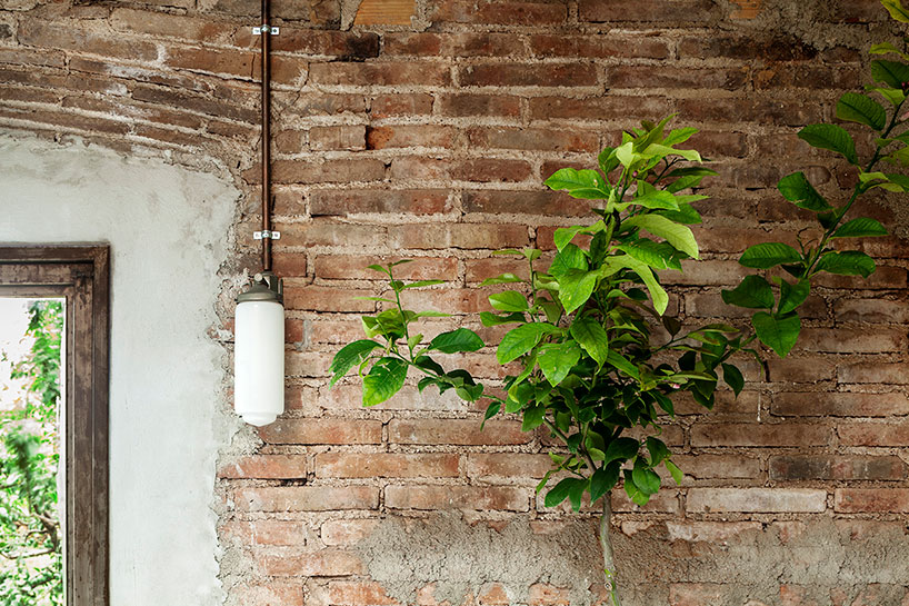 clara nubiola converts a deteriorating shed into the cube changing room
