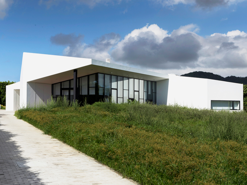m-arquitectos rosto do cao house portugal designboom
