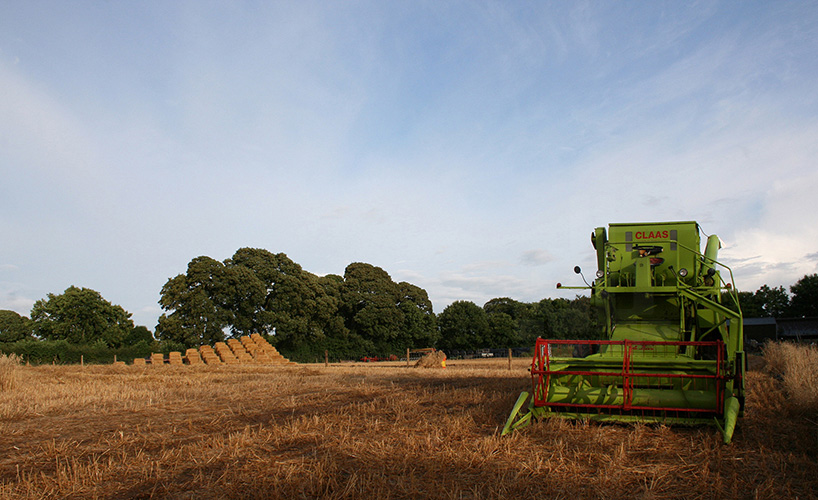 NOSworkshop architectonic straw pavilions harvest festival ireland