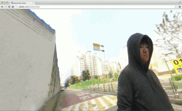 ssbkyh_aposematic_jacket_panorama