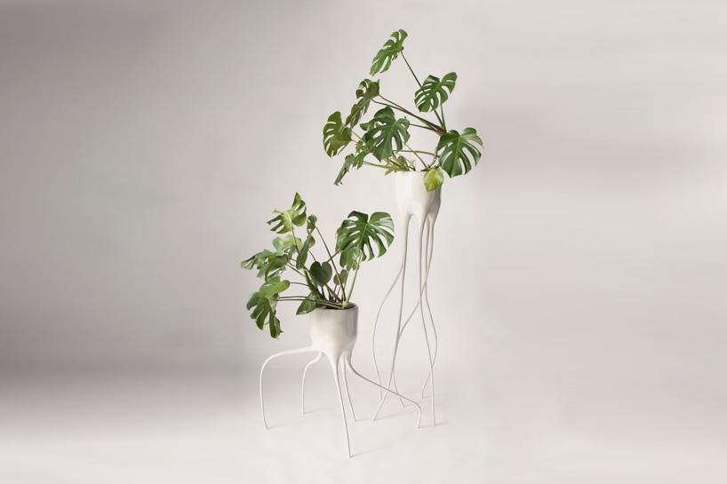 tim van de weerd constructs haphazard roots for monstera plant pots