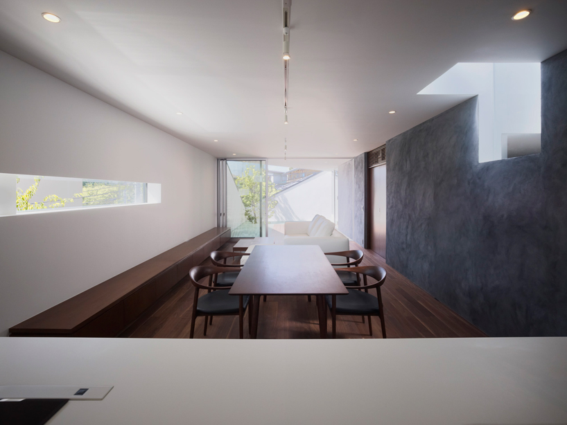 a single tree pierces yo yamagata's TY house in tokyo