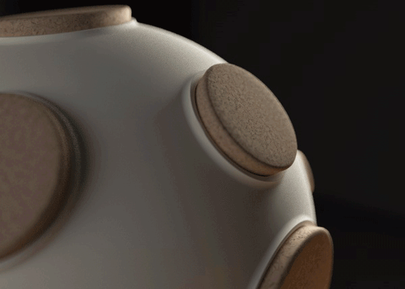 constantin bolimond armstrong light trap