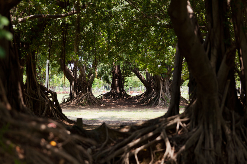 interview francine houben mecanoo designboom