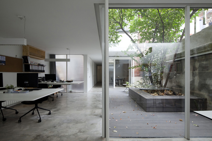 lukstudio forms office around a chimonanthus tree in shanghai