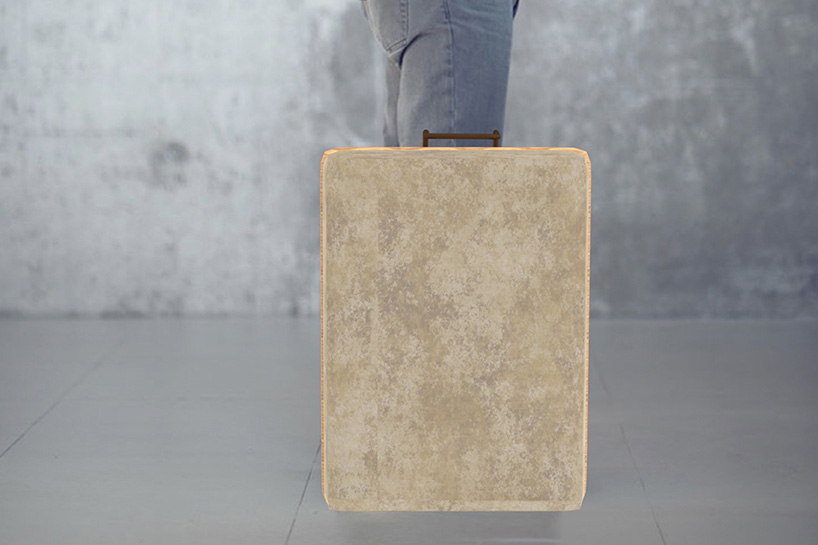 panos velentzas mushroom suitcase