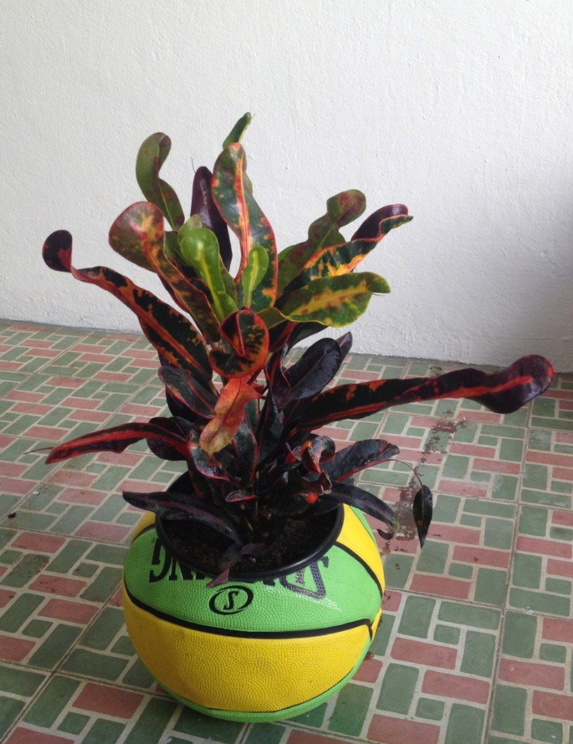 tropical readymade by radamés 'juni' figueroa at miami NADA