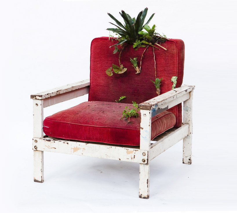 rodrigo bueno cultivates botanical life within nature-filled furniture