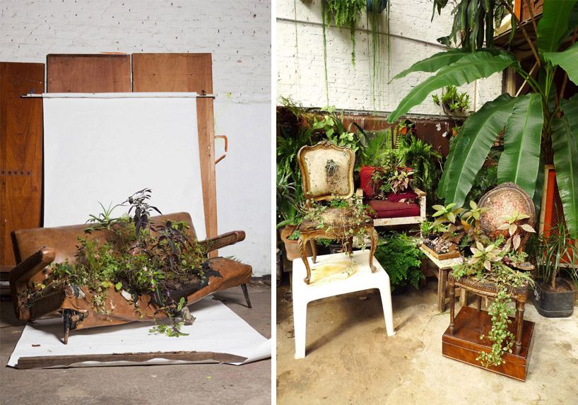 rodrigo bueno: blossom found furniture 