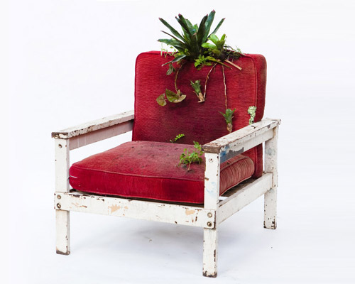 rodrigo bueno cultivates botanical life within nature-filled furniture 