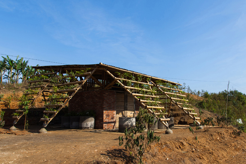 H&P architects toigetation toilet block vietnam designboom