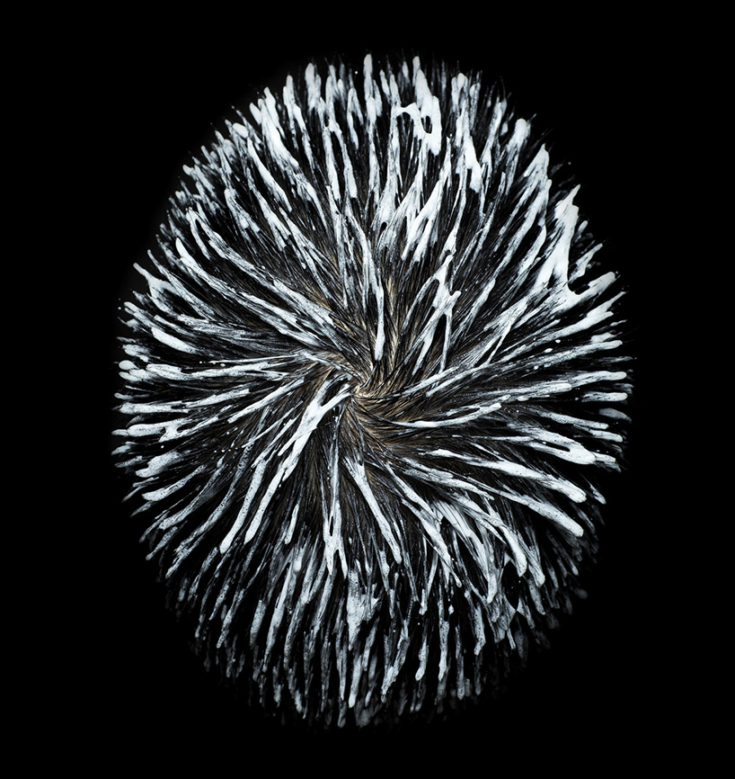 shampooed heads of hair photographed by cheuk lun lo